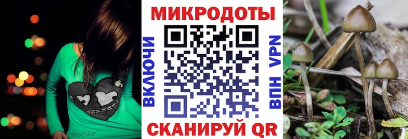 ОМГ ОМГ вход  Унеча  Галлюциногенные грибы мицелий 